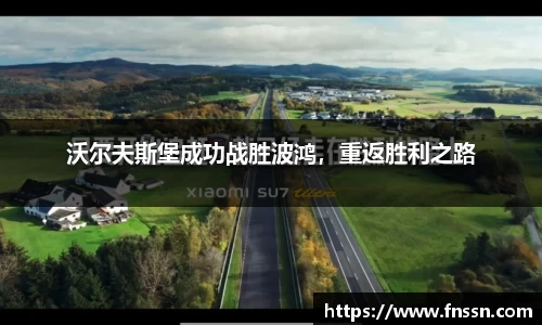沃尔夫斯堡成功战胜波鸿，重返胜利之路