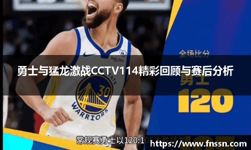 勇士与猛龙激战CCTV114精彩回顾与赛后分析